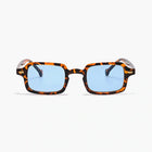 tortoise/light blue 🌀
