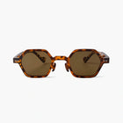 tortoise/brown 🪵